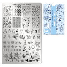 Carregar imagem no visualizador da galeria, Placa Moyra 101 WinterTime