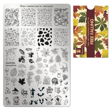 Carregar imagem no visualizador da galeria, Placa Moyra 114 Free Falling