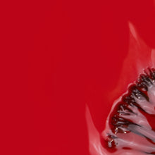 Carregar imagem no visualizador da galeria, Verniz Gel Inocos Outra Vez Meias 15ml
