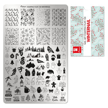 Carregar imagem no visualizador da galeria, Placa Moyra 128 WinterNail
