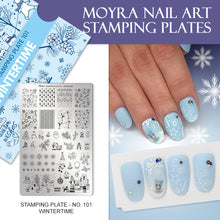 Carregar imagem no visualizador da galeria, Placa Moyra 101 WinterTime

