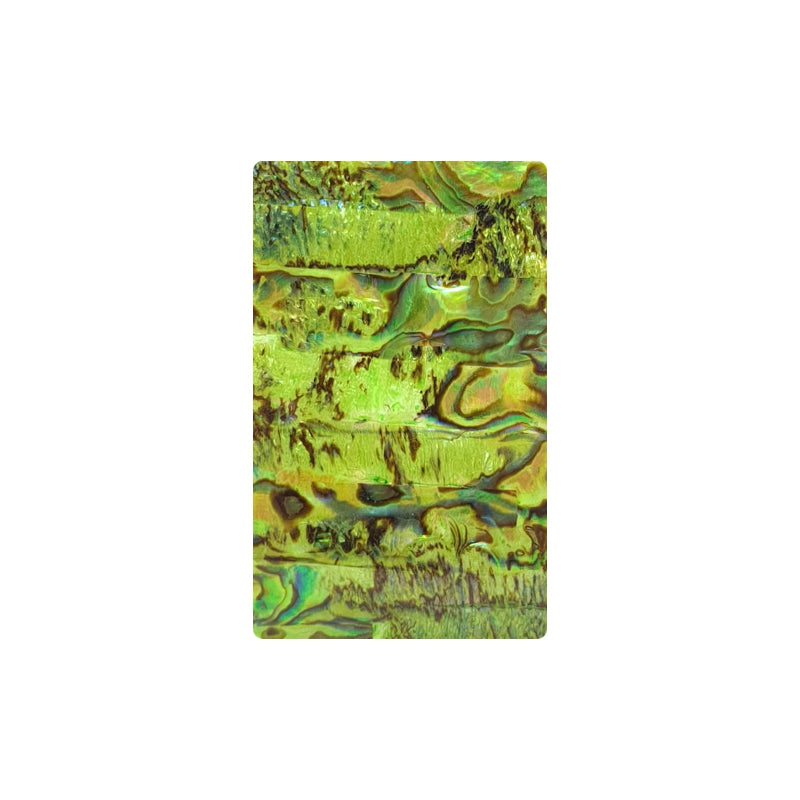 Shell Plate / Placa de Concha