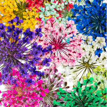 Carregar imagem no visualizador da galeria, Flores Secas para Unhas Inocos
